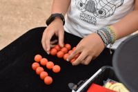 Pa&uacute;l de Valdelucio 5